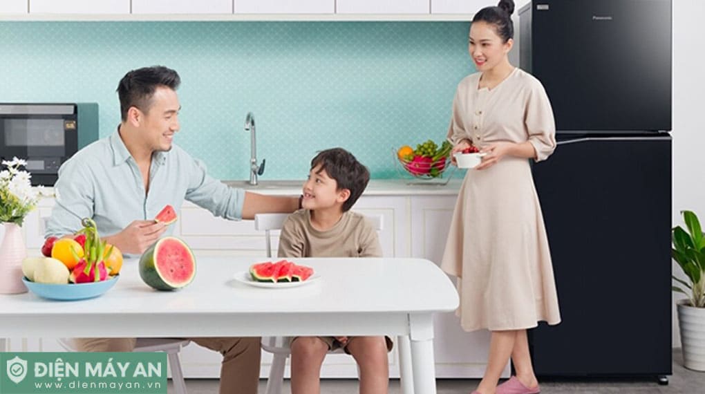 Tủ Lạnh Panasonic Inverter 268 Lít NR-TV301BPKV